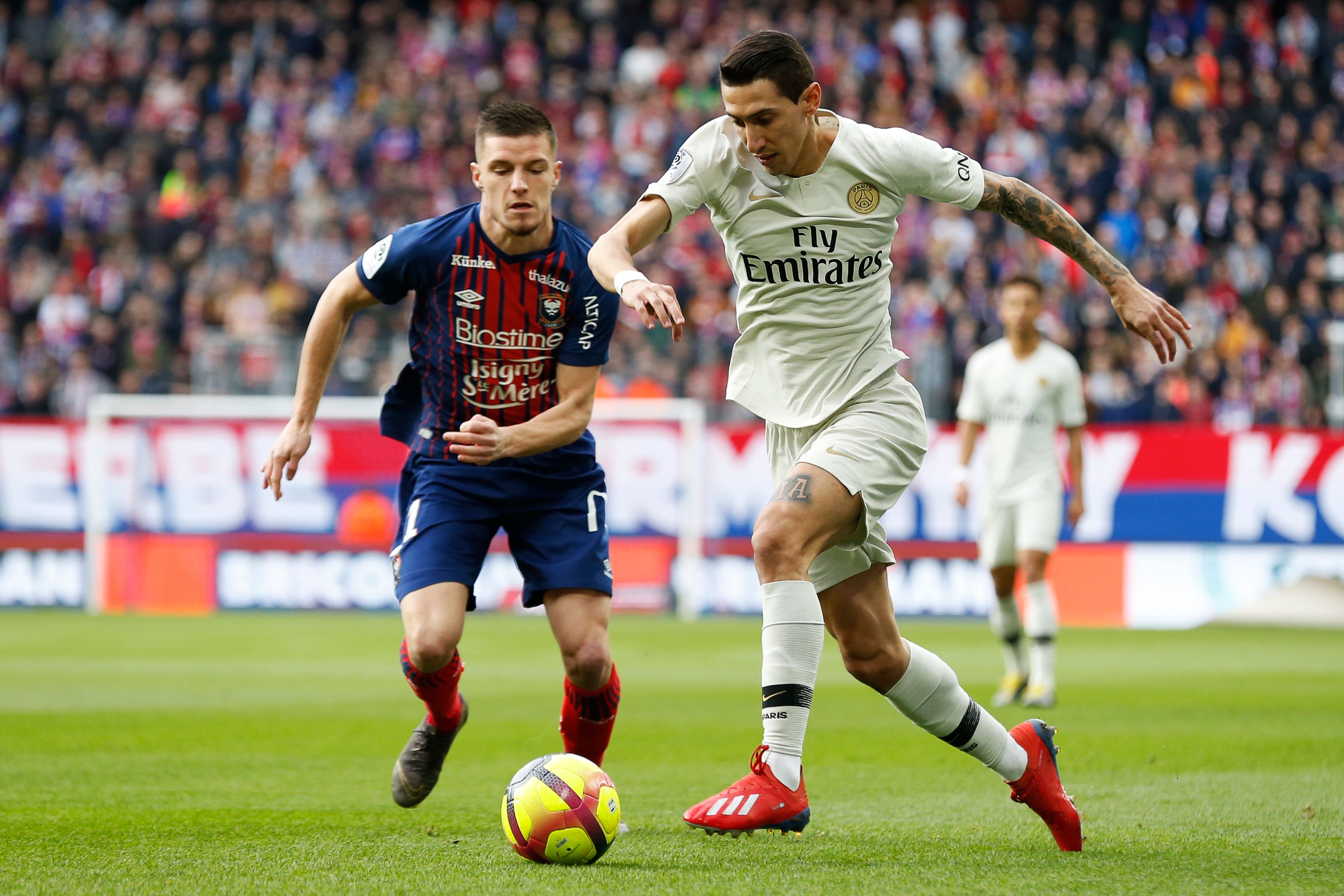 雄鹿队记：字母哥没有参加今天的训练，AJ·格林有望复出（雄鹿记者：字母哥缺席今日训练 AJ·格林有望复出）